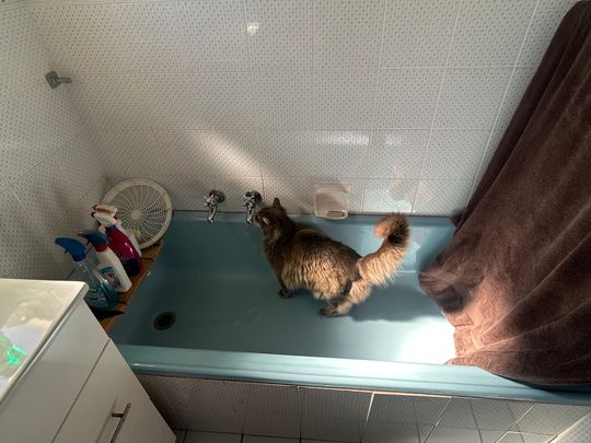 Cheltenham - Photo 1