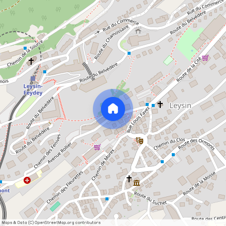 1854, Leysin, Avenue Rollier 12, 10