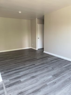 19 Iroquois Apartments - Photo 1