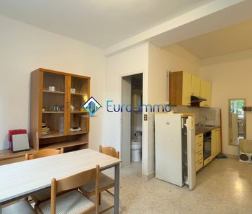 Location Appartement 1 pièce 20m² ROQUEBRUNE CAP MARTIN 06190 - Photo 1