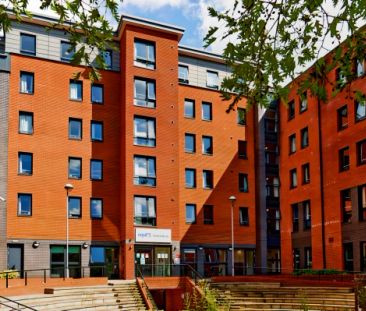 Bronze Ensuite - Single Occupancy - Photo 6