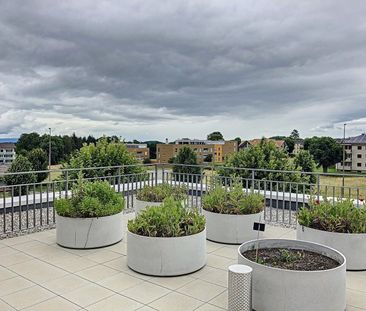 LOGEMENT NEUF - Foto 1