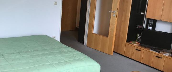 Vollmöbliertes Appartment im Kurort Bad Gögging langfristig ! - Photo 1
