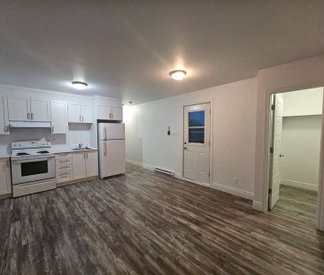 10118 Boulevard Saint-Michel — 3 1/2 - Photo 4