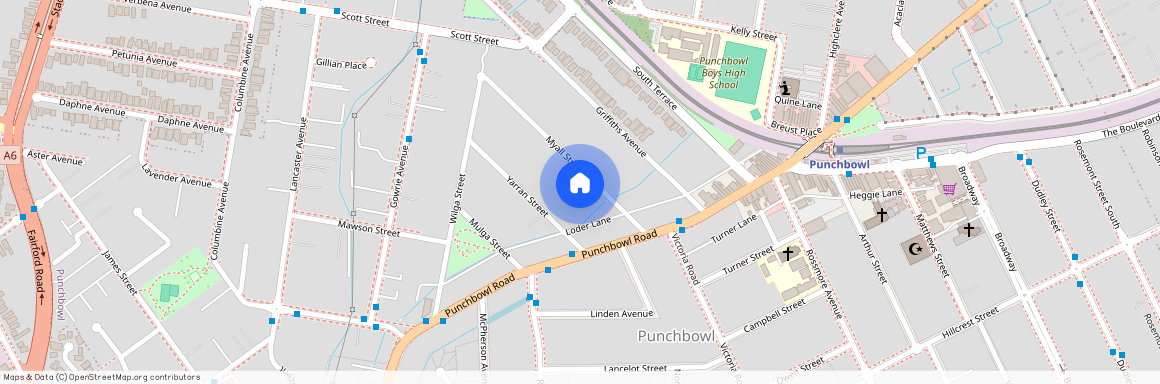 10 Myall Street, NSW 2196, Punchbowl