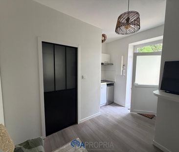 Location Appartement 1 pièce 12m² - Photo 2