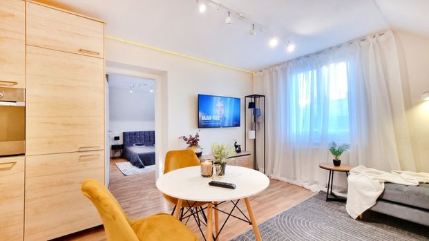 +++ 20 min to OPERA - ALL-INCLUSIVE cozy modern 1-bedroom apartment +++ - Foto 1