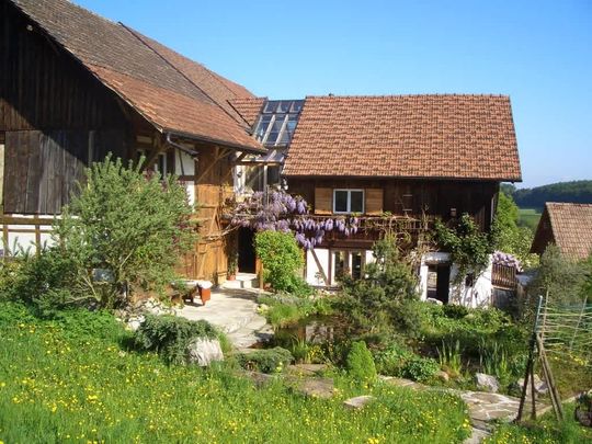 3.5 Zimmer, 105 m², EG - Photo 1