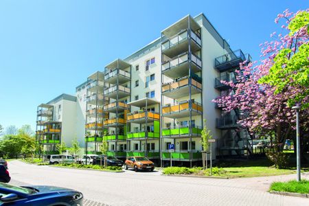 Barrierefreie 2-Raum Wohnung mit großem Balkon und Aufzug - Photo 5
