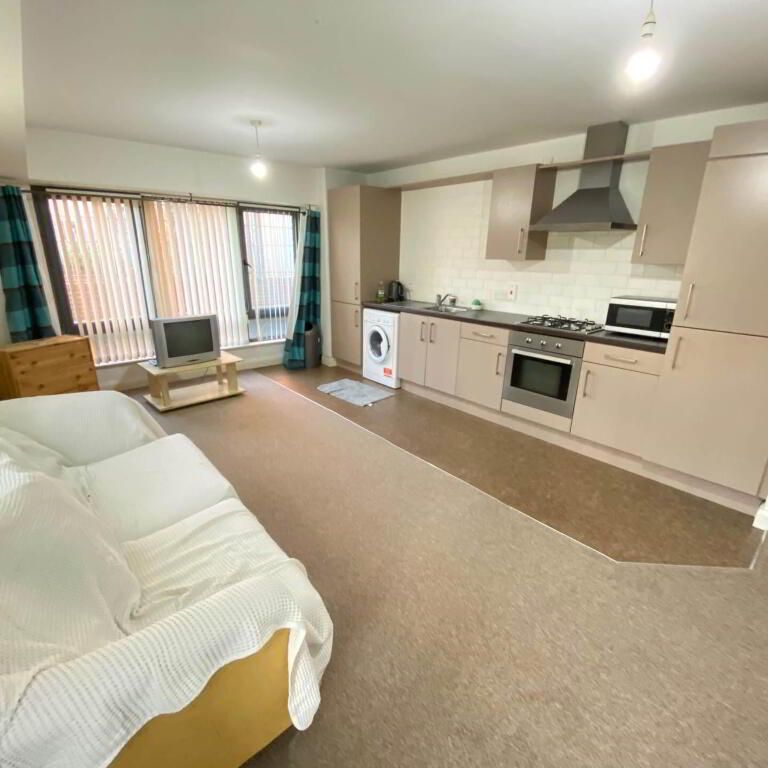 Apt 1 The Grant Building, Odessa Street, Belfast, BT13 2QS - Photo 1