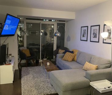 For Lease - 75 East Liberty Street Unit# 521, Toronto, Ontario - Photo 6