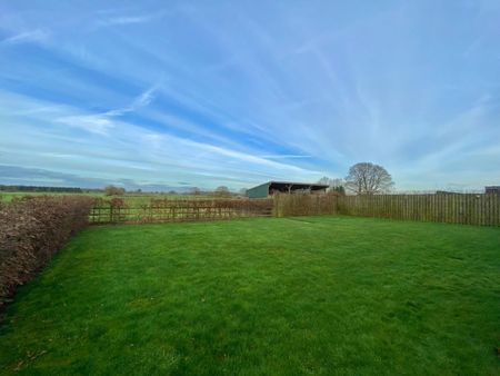 5 bedroom House To Let - Photo 3