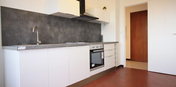 Location Appartement 1 pièce 38m² VILLEURBANNE 69100 - Photo 2