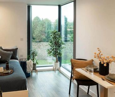 1 bedroom private hall to rent - Photo 4