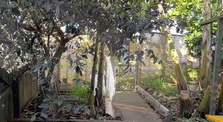 3-Bedroom Property For Rent In Henderson - Photo 3