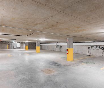 Monarc Collection - Photo 4