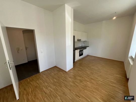 Sanierte 1-Zimmer Wohnung in Judendorf mit neuer Einbauküche zu vermieten - Photo 1