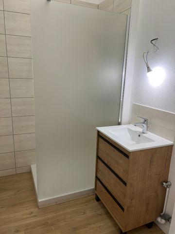 Location Appartement 1 pièce 40m² - Photo 4