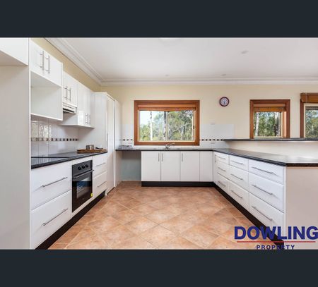 556 Limeburners Creek Road, Clarence Town, NSW 2321 - Photo 2