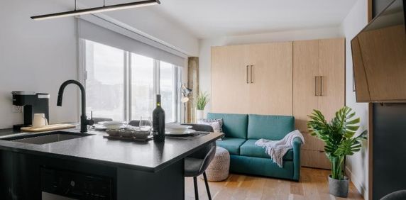 Loft entièrement meublé à louer Saint-Jean-Baptiste juillet 2026 - Photo 2