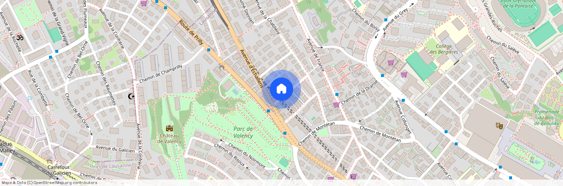 Chemin des Avelines 1, 1004, Lausanne