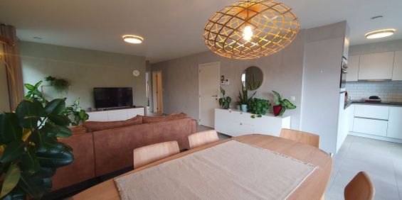 Appartement te huur in Bree voor € 900 met 2 slaapkamers - foto 3