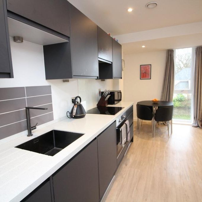 1 bedroom apartment to rent - Photo 1