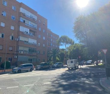 Calle del Hornero, Madrid, Community of Madrid 28019 - Photo 6