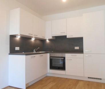 Q5 am PARK großartige 2ZI mit Ost/Balkon - Foto 6