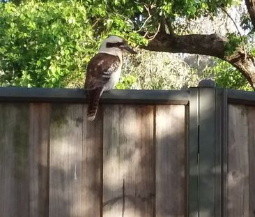 Seven Hills - Photo 4