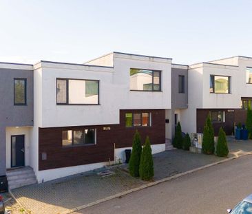 Casa de inchiriat 4 camere zona Valea Lupului-Cubic Village - Fotografie 4