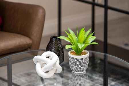 1 bedroom serviced apartment to rent - Photo 2