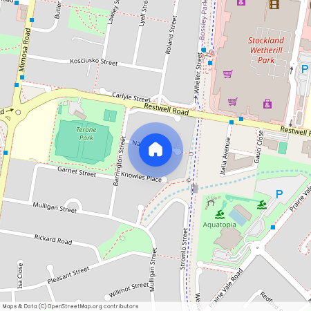 18 Napier Pl, NSW 2176, Bossley Park