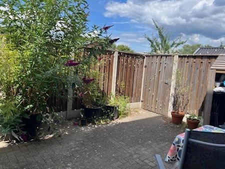 Te huur: Appartement Zeelsterstraat in Eindhoven - Foto 5