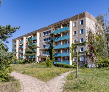 Mit Aufzug! 2-Zimmer-Wohnung mit Balkon - Foto 4