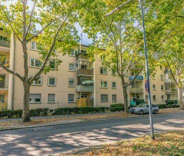 Demnächst frei! 2-Zimmer-Wohnung in Frankenthal (Pfalz) - Photo 1