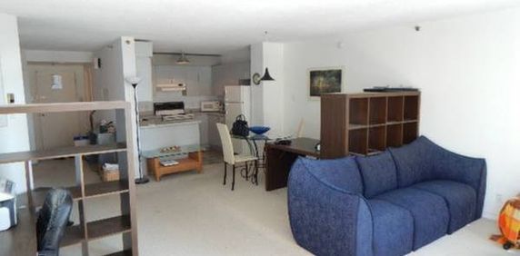 Fully furnished 1-bedroom condo $1460/mois - Photo 2