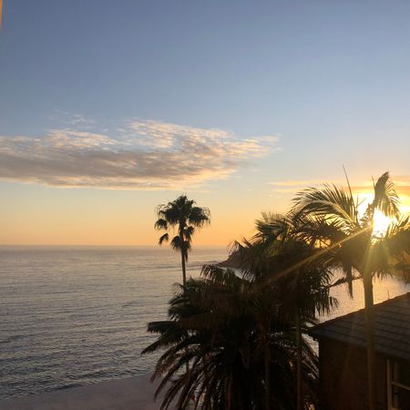 Manly - Photo 3