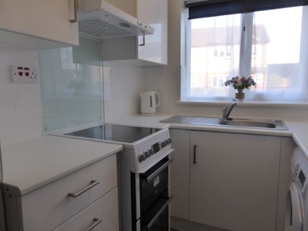 One Bedroom House TO LET In Milton - Photo 4