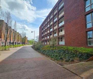 Appartement Koningsloper 435, Oss - À Louer - Foto 3