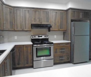 5 ½ rue Papineau 5 électros Inclus Montréal LIBRE - Photo 1