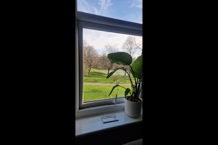 Room in a Shared Flat, Hanover Square, LS3 - Photo 3