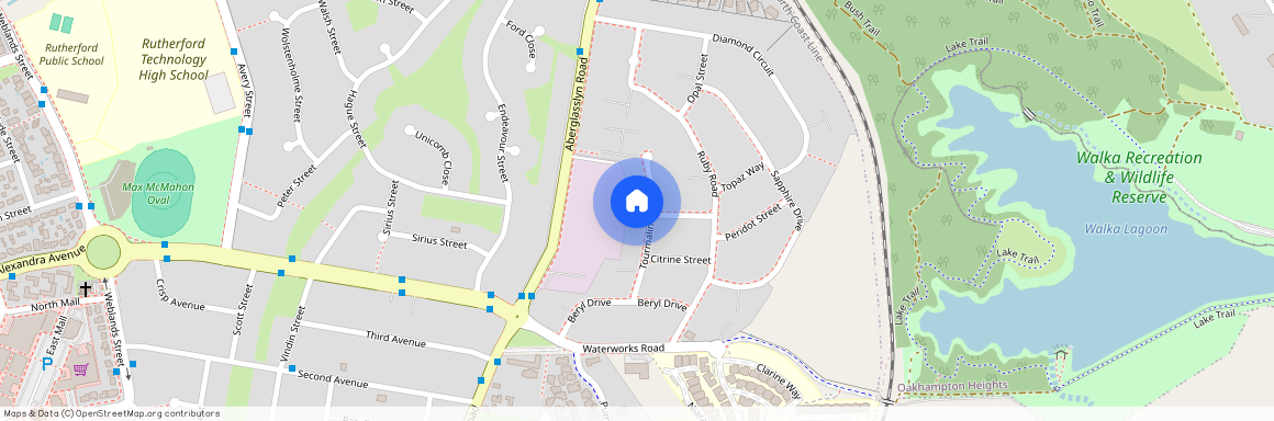 21 Tourmaline Drive, NSW 2320, Rutherford