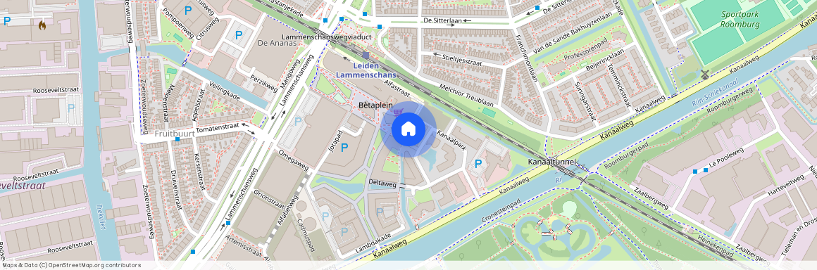 Betaplein, 264, Leiden