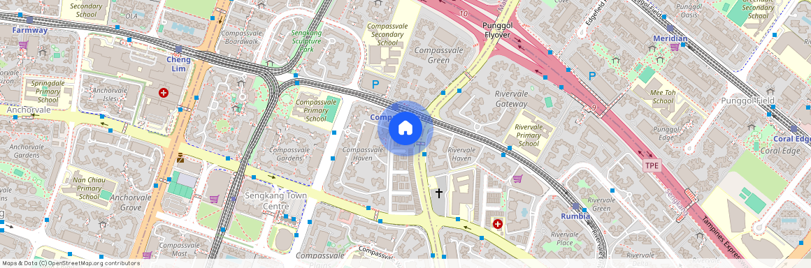 252 Compassvale Street (540252), Singapore