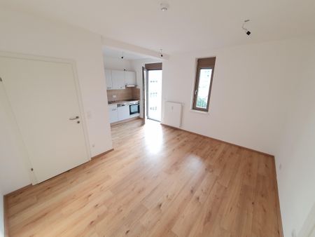 Moderne, geräumige Mietwohnung in zentraler Lage - Foto 2