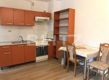 Garsoniera de 40 mp, recent renovata, zona Platinia - Photo 3