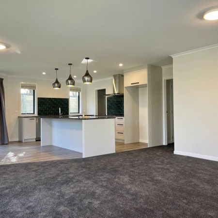 Modern 4 bedroom 2 bathroom in Shaw Road Subdivision! - Photo 5