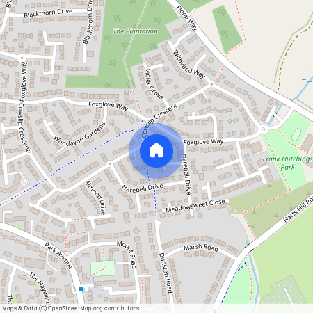 Crocus Mead, Thatcham, RG18 4DJ