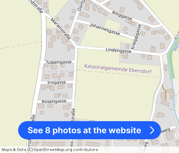 53,49qm 2Zi S-Gartenwohnung, Erstbezug, ökologische Bauweise - Photo 1